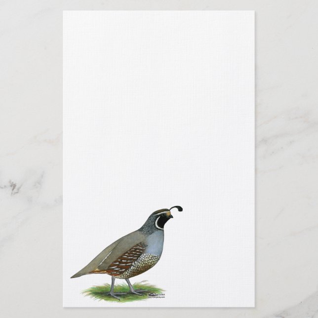 California Valley Quail Stationery (Front)