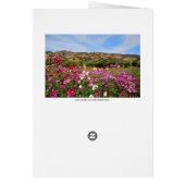 California Vineyard Collage Cards (Back)