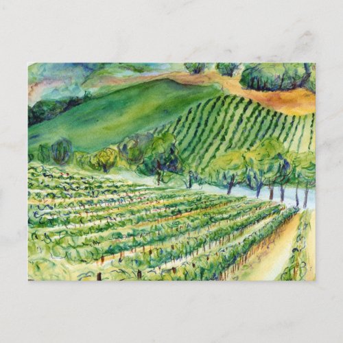 California Vineyard Postcard