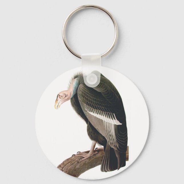 California Vulture (Condor), Audubon Fine Art Keychain (Front)