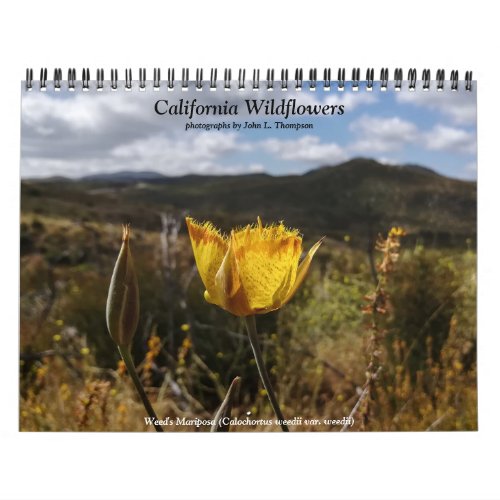 California Wildflowers Calendar