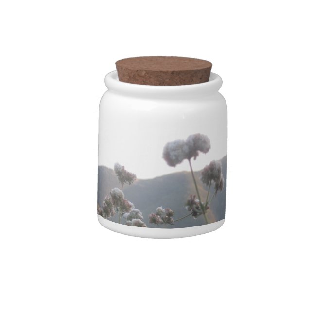 California Wildflowers Candy Jar (Left)