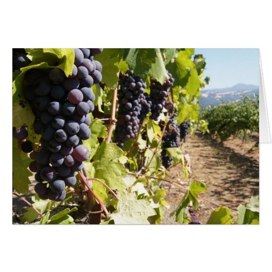 California Wine Country Cards (Front Horizontal)