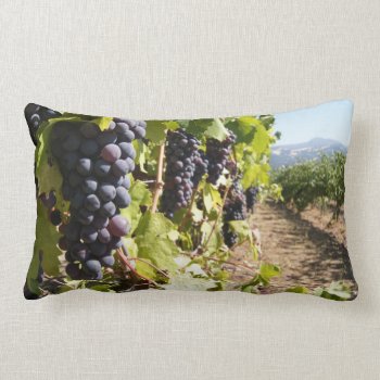 California Wine Country Lumbar Pillow by HippieGeekFarmArt at Zazzle