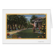 CaliforniaA Palm Shaded Walk (Front Horizontal)