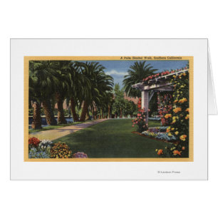 CaliforniaA Palm Shaded Walk Cards