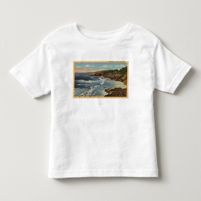 CaliforniaBeautiful Californian Coastal Scene Toddler T-shirt (Front)
