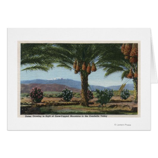 CaliforniaDates Growing in the Coachella (Front Horizontal)