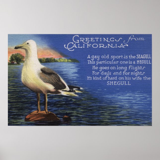 CaliforniaGreetings From, Seagull Poem Poster (Front)