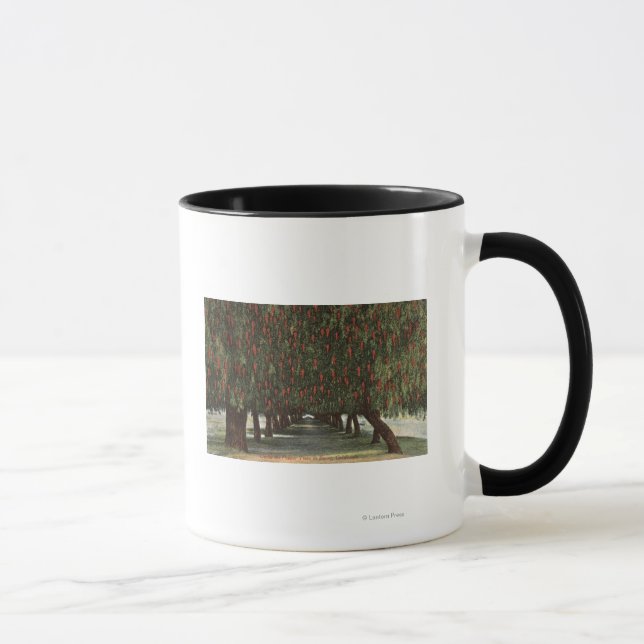 CaliforniaGroves of Pepper Trees Mug (Right)
