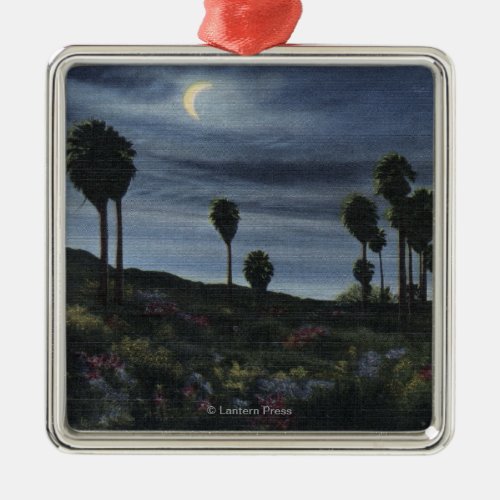 CaliforniaMoonlit View at Twenty_Nine Palms Metal Ornament