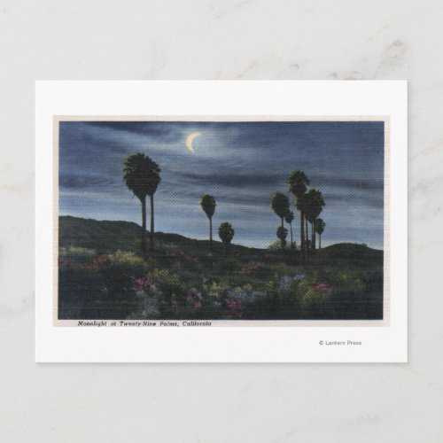 CaliforniaMoonlit View at Twenty_Nine Palms Postcard