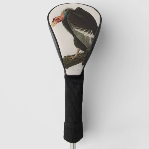 Californian Vulture Birds of America Audubon Print Golf Head Cover