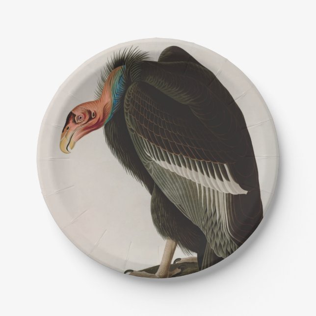 Californian Vulture Birds of America Audubon Print Paper Plates (Front)