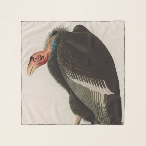 Californian Vulture Birds of America Audubon Print Scarf