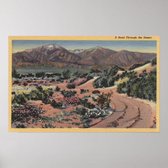 CaliforniaScenic Desert View Poster (Front)