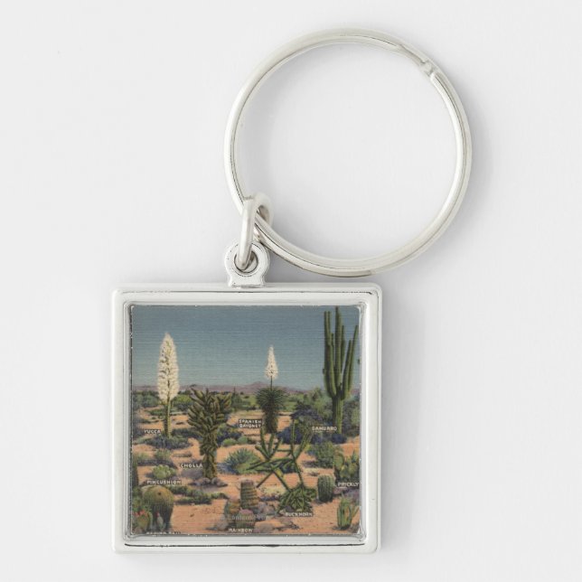 CaliforniaVarieties of Desert Cacti Keychain (Front)