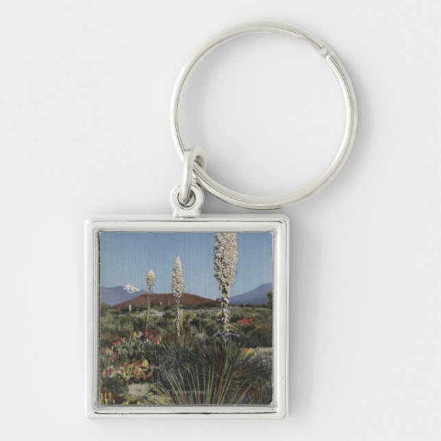 CaliforniaYucca Cacti in Bloom in Desert Keychain (Front)