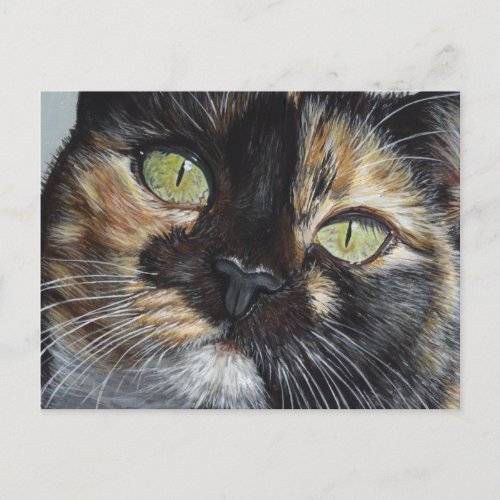 Calis Stare Tortie Tortoiseshell Cat Painting Art Postcard