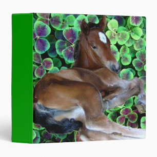 CALISTA IN CLOVER 1.5" Ring Binder