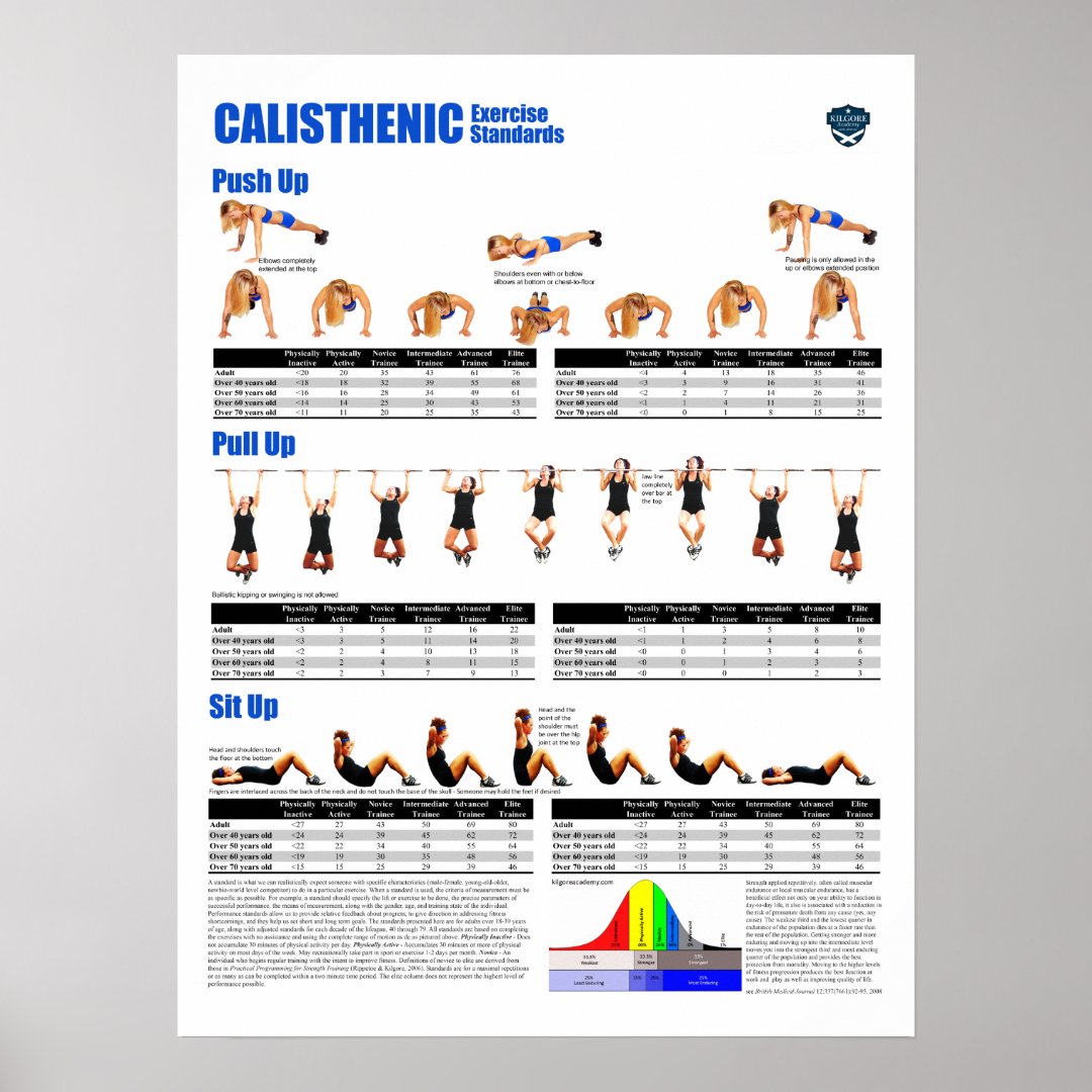 Calisthenic Standards Poster | Zazzle