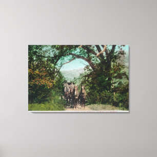 Calistoga and Geyser Stagecoach on Foss Road Canvas Print