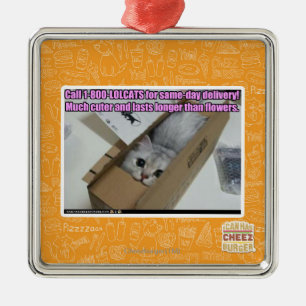 Call 1-800-LOLCATS Metal Ornament