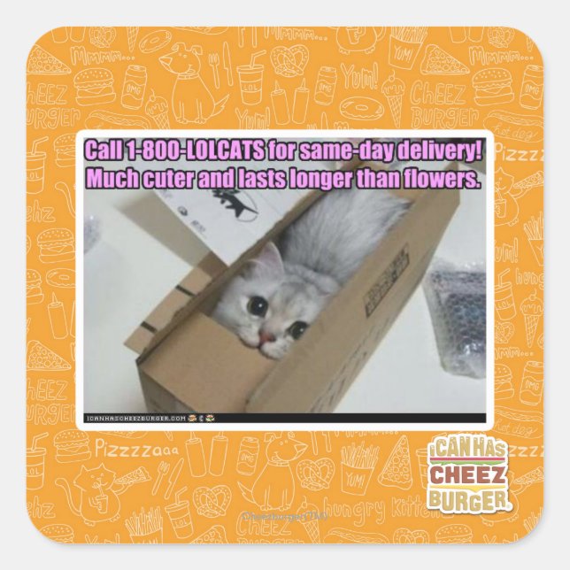 Call 1-800-LOLCATS Square Sticker (Front)