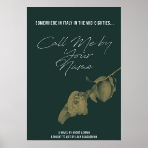 Call Me by Your Name 2 Poster