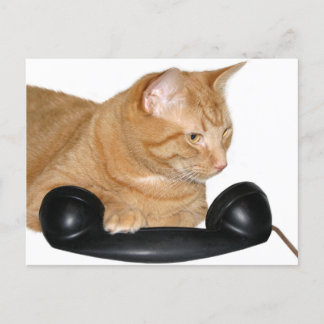 Call me postcard