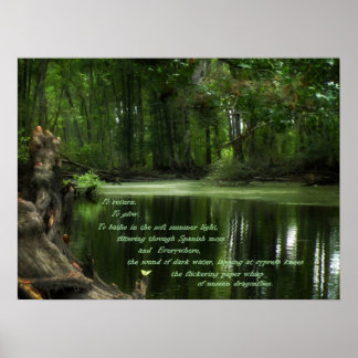 Call of the South Photo Postser Poster