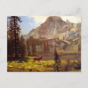 Call of the Wild by Albert Bierstadt 1876–77 Postcard