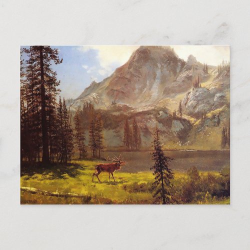Call of the Wild by Albert Bierstadt 187677 Postcard