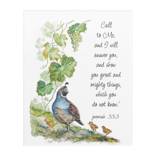 Call to Me Scripture Inspiration California Quail  Acrylic Print (Front)
