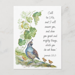 Call to Me Scripture Inspiration California Quail  Postcard