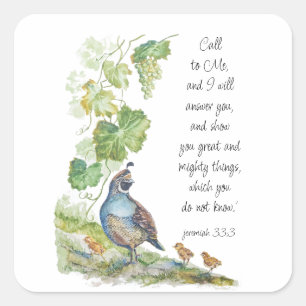 Call to Me Scripture Inspiration California Quail  Square Sticker