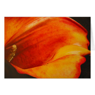 Calla Cards