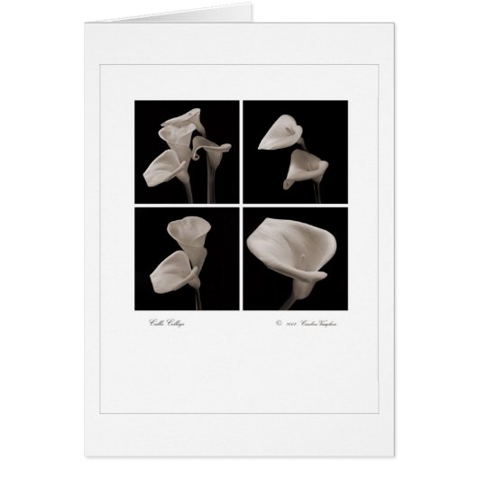 Calla_flowers_2010_Brochure Cards (Front)