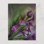 Calla Lilies Art Postcard