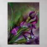 Calla Lilies Art Poster/Print Poster