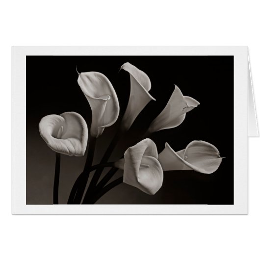 Calla Lilies Cards (Front Horizontal)
