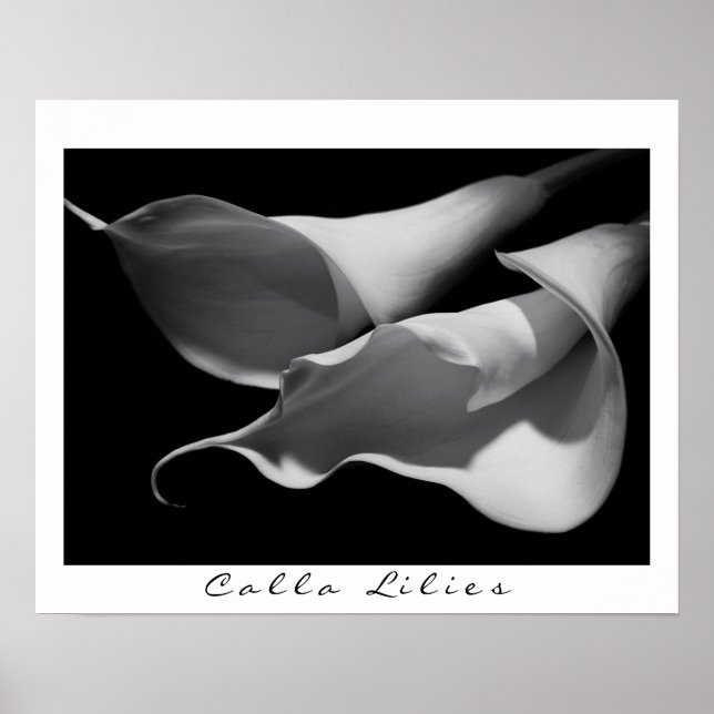 Calla Lilies in B&W Poster (Front)