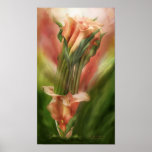 Calla Lilies In Calla Vase Art Poster/Print Poster