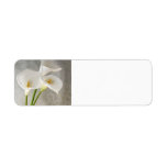 calla lilies labels
