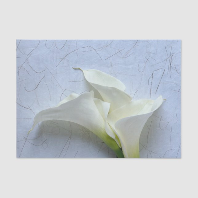Calla lilies on decorative background tissue paper (Front)