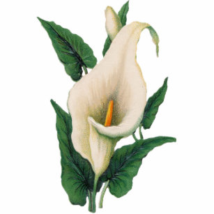 Calla Lilies Ornament