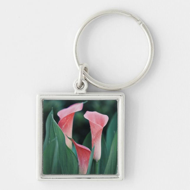Calla Lilies Pink Flowers Keychain (Front)