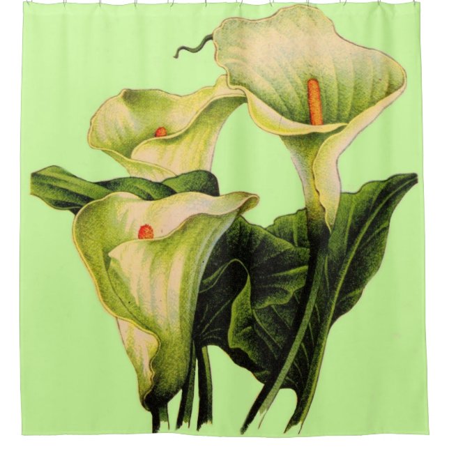 Calla lilies print shower curtain (Front)