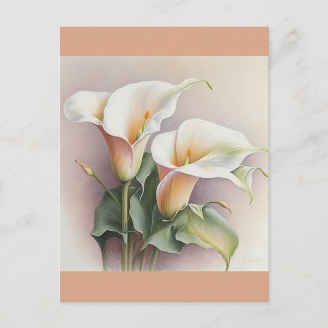 Calla lilies watercolor postcard (Front)