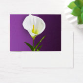 Calla Lilly (Desk)